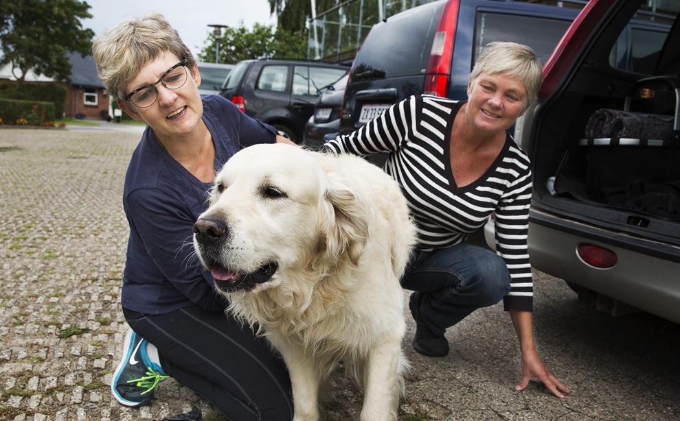 To kvinder sidder på hug på en parkeringsplads. Mellem sig har de en lys blond hund som de klapper.